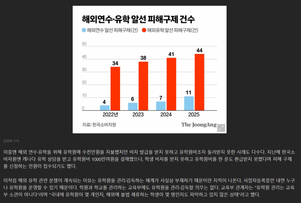 비자 관련 뉴스