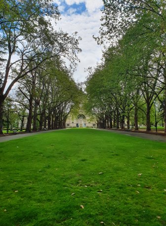 칼튼 멜버른 Carlton Gardens 피크닉 장소