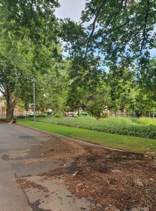 칼튼 멜버른 Carlton Gardens 피크닉 장소
